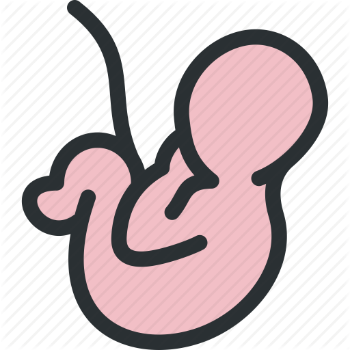 512x512 Baby, Biology, Embryo, Fetus, Health, Medical, Pregnancy Icon