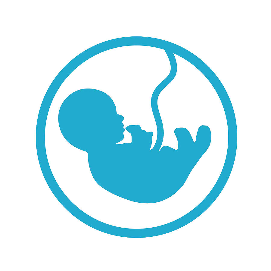 900x900 Fetus Icon
