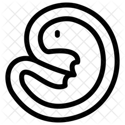 256x256 Fetus Icon Of Line Style