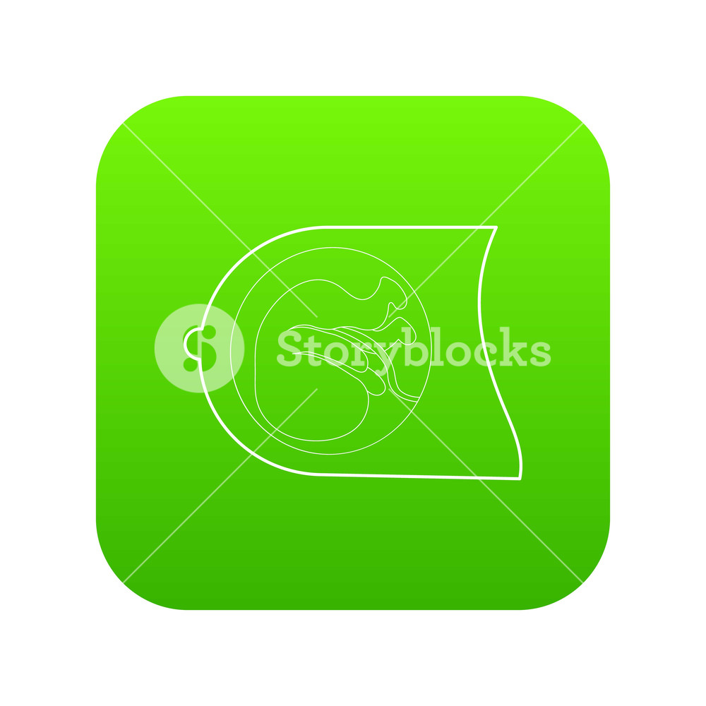 1000x1000 Fetus Icon Green Vector Isolated On White Background Royalty Free
