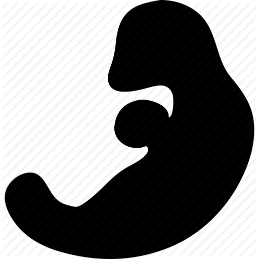 512x512 Baby, Embryo, Fetus, Newborn, Patient, Pregnancy, Pregnant Icon