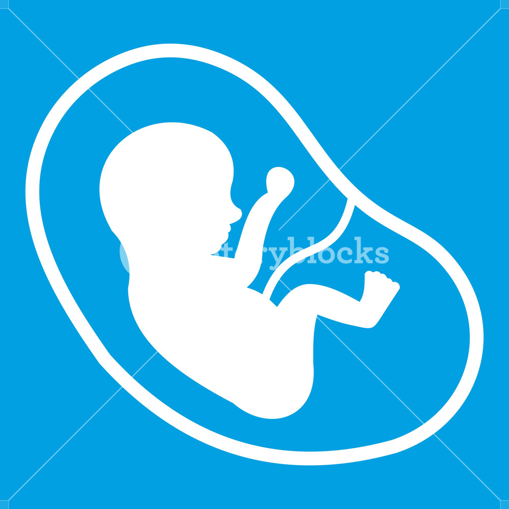 1000x1000 Fetus Icon White Isolated On Blue Background Vector Illustration