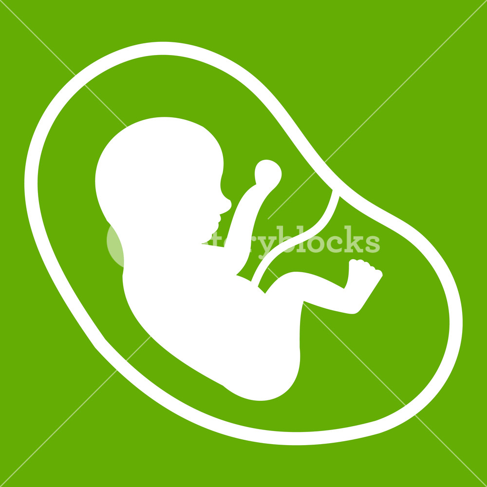 1000x1000 Fetus Icon White Isolated On Green Background Vector Illustration
