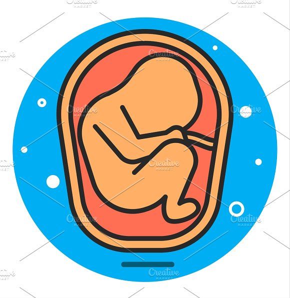 580x596 Fetus Icon Illustration