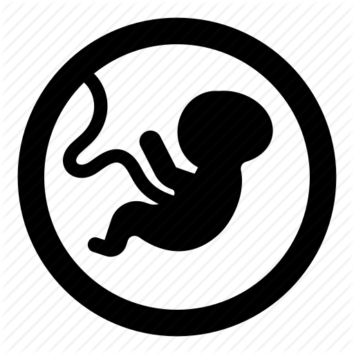 512x512 Baby, Embryo Icon