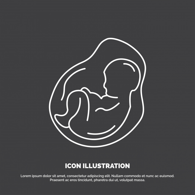 640x640 Baby Pregnancy Pregnant Obstetrics Fetus Icon Line Vector S, Baby