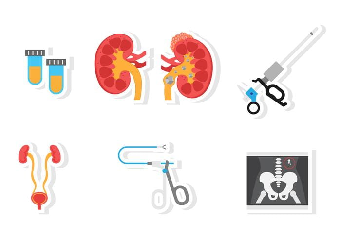 700x490 Flat Urology Icon Free Graphics Uihere
