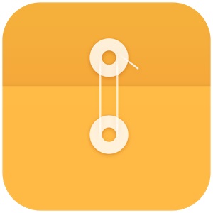 300x300 Manager Icon