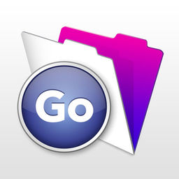 256x256 Filemaker Go