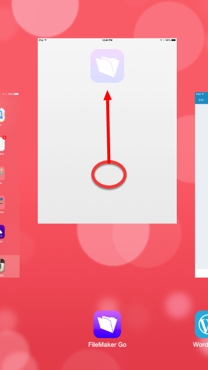 419x746 Locked Into A Filemaker Go Screen You Won't Believe How One User