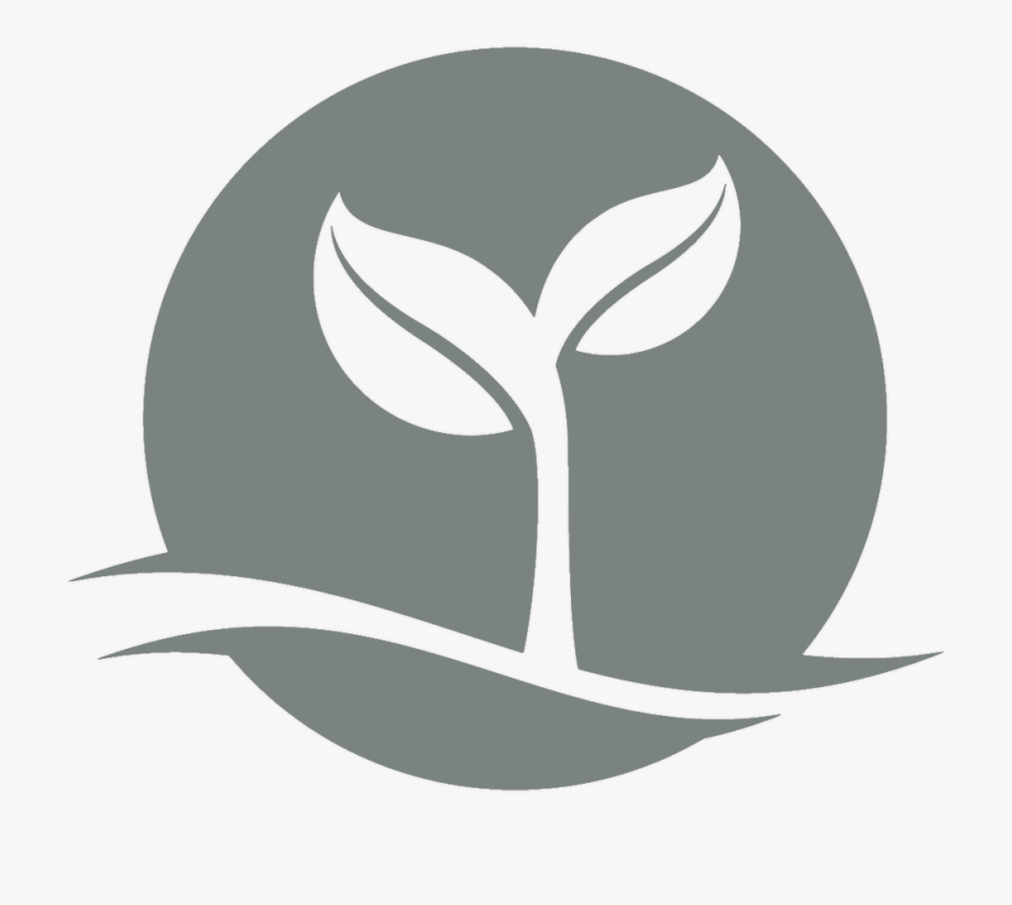 920x823 Reborn Financial Services Gray Icon