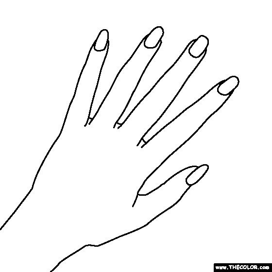 560x560 Finger Clipart Short Nail