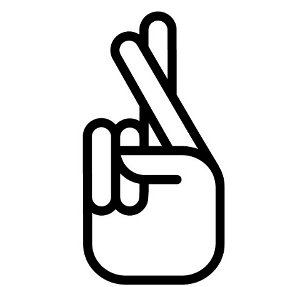 300x287 Crossing The Finger