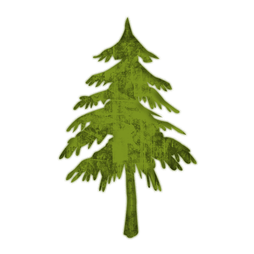 512x512 Evergreen Or Fir Tree