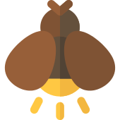 170x170 Firefly Png Icon