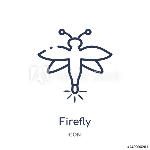 500x500 Firefly Icon From Summer Outline Collection Thin Line Firefly