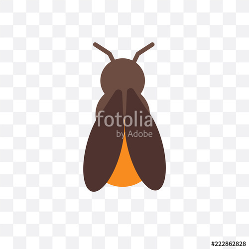 500x500 Firefly Icon Isolated On Transparent Background Simple