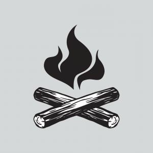 300x300 Campfire With Firewood Icon Vector Hoodamathrun
