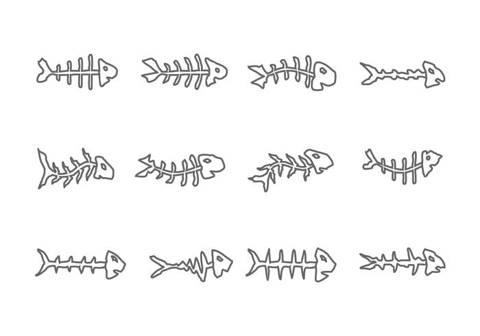 700x490 Fishbone Icon On White Background