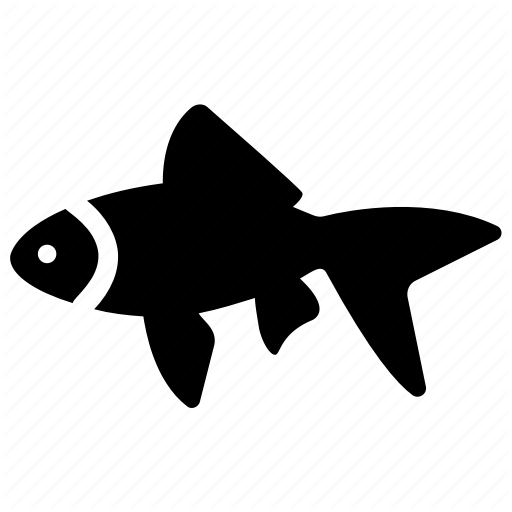 512x512 Aquarium Fish, Fish, Freshwater Fish, Goldfish, Pet Fish Icon