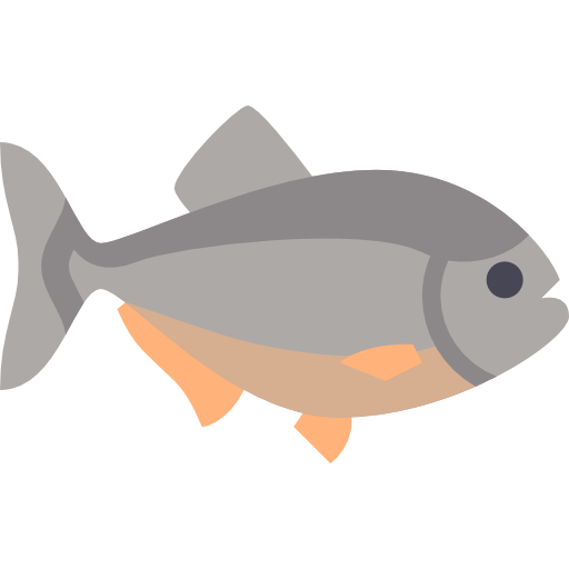 512x512 Fish Icon