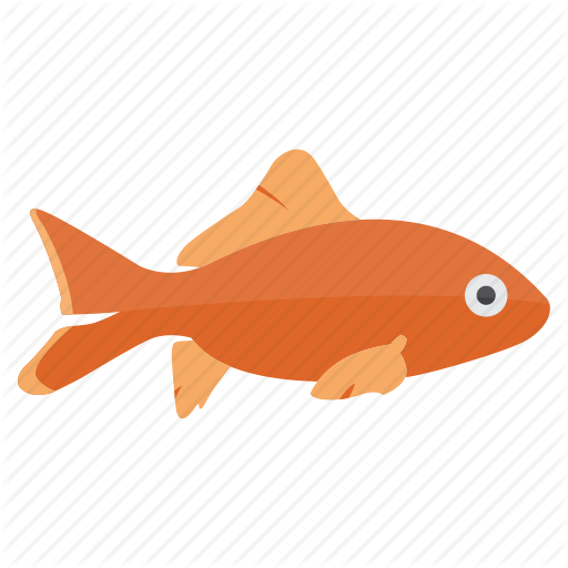 512x512 Fish, Fish Icon, Fish Vector, Koi, Koi Fish, Ocean, Sea, Tropical