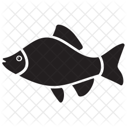 256x256 Salmon Fish Icon Of Glyph Style