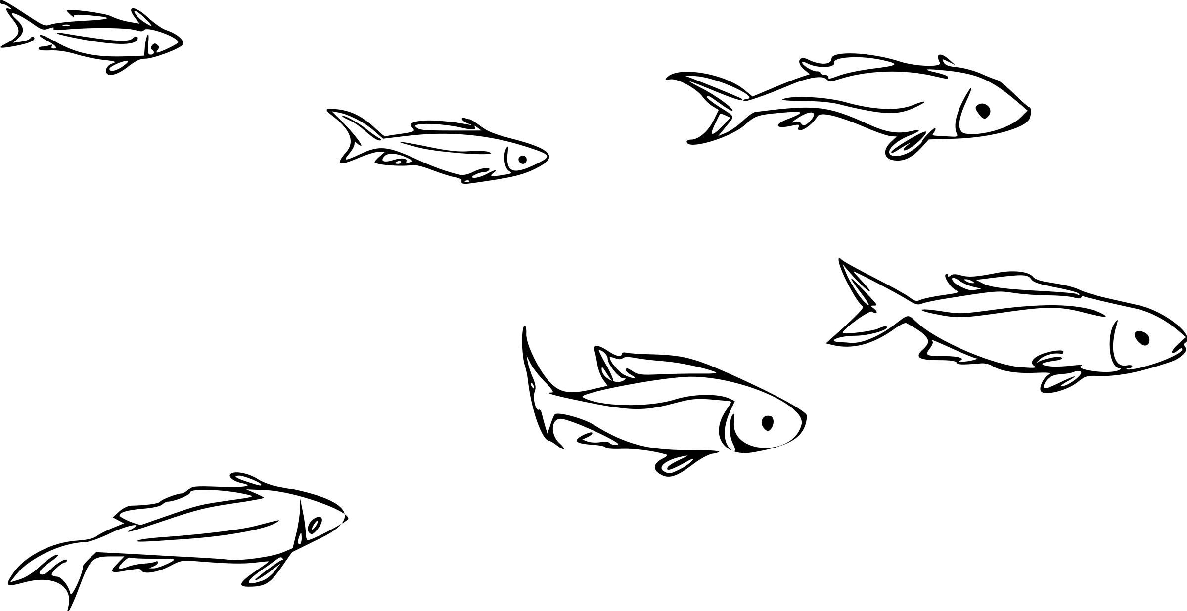 2400x1237 School Of Fish Icons Png