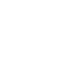 256x256 White Fish Icon