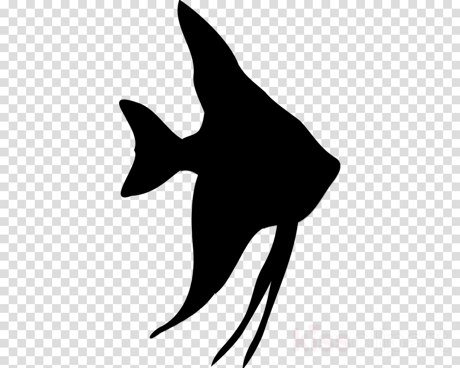 900x720 Fish Icon Clipart