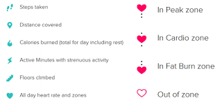 320x155 Fitbit Charge Basic Icons Fitbit Symbols Fitbit Charge