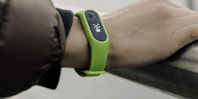 vector fitbit