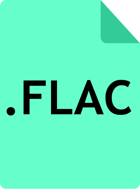 474x640 Fileicon Flac