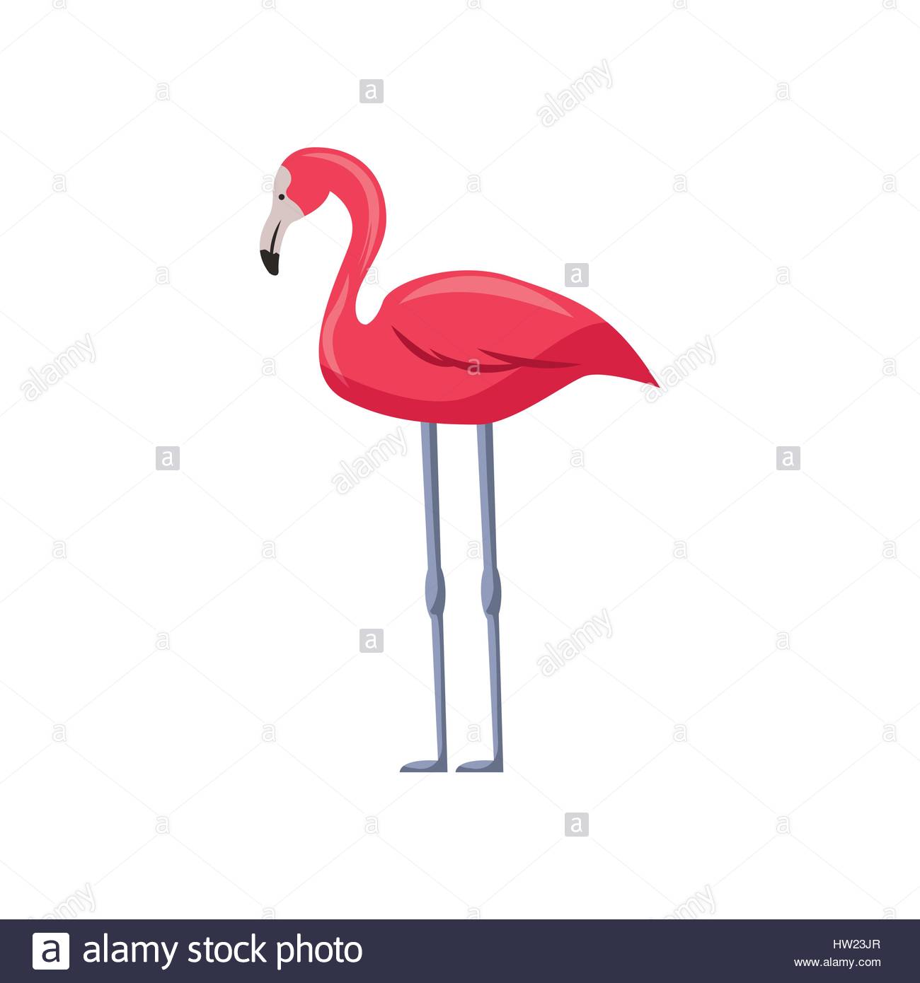 1300x1390 Flamingo Icon