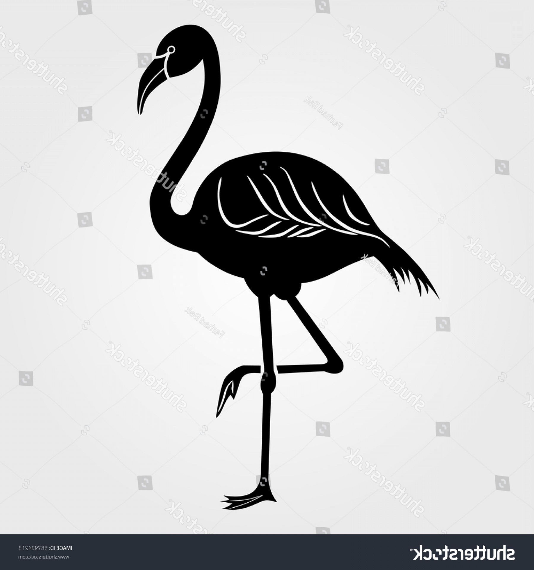 1800x1920 Flamingo Icon On White Background Cqrecords