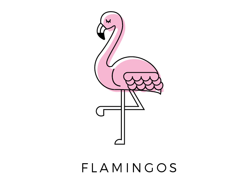 800x600 Flamingo Icon
