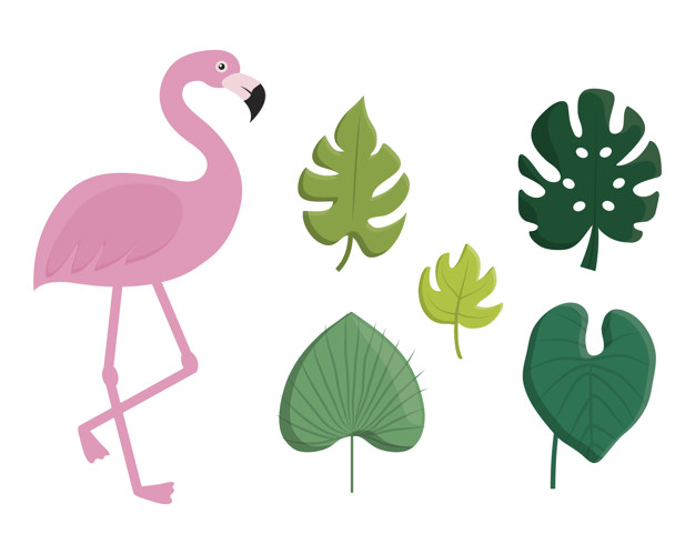 626x499 Tropical Leaves And Flamingo Icon Vector Premium Download