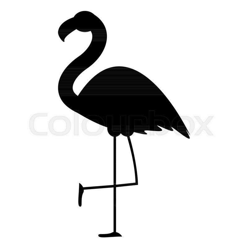 800x800 Cute Pink Flamingo Icon Vector Stock Vector Colourbox