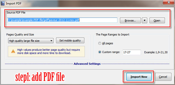 600x294 How Can I Insert Swf Into Flash Brochure