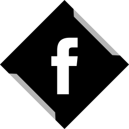 256x256 Facebook Logo Icon Of Flat Style