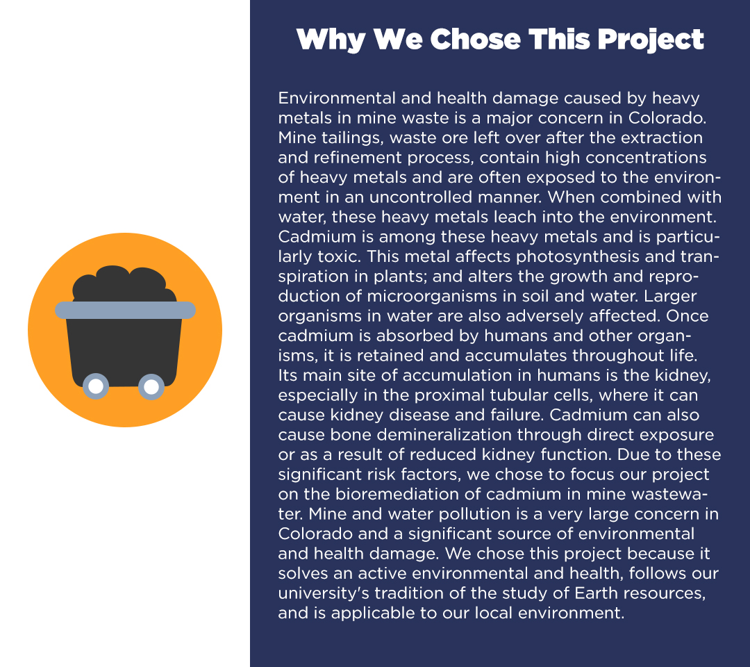 1080x960 Teamco Minesdescription