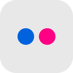 256x256 Logo Icon Of Flat Style