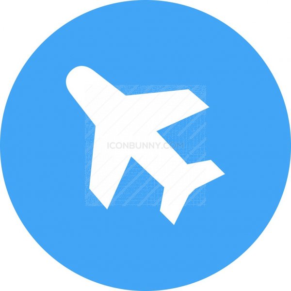 Flight Icon