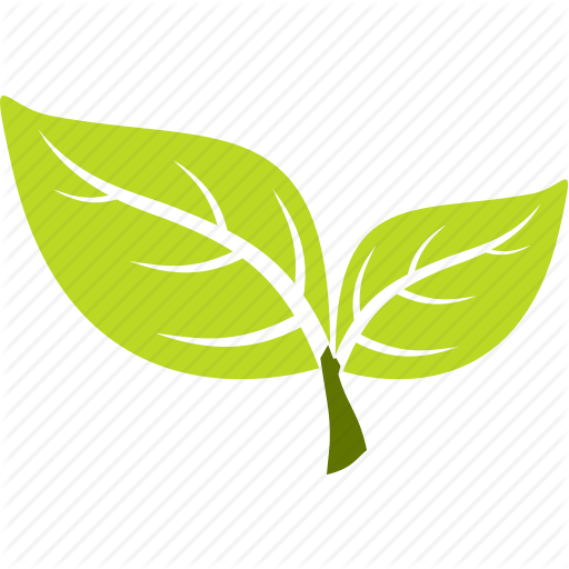 512x512 Ecology, Flora, Nature, Plant Icon