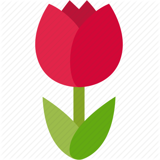 512x512 Flora, Floral, Florist, Flower, Gardener, Love, Tulip Icon