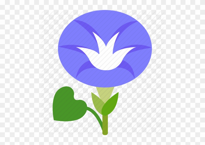 840x592 Morning Glory Clipart Garden Flower