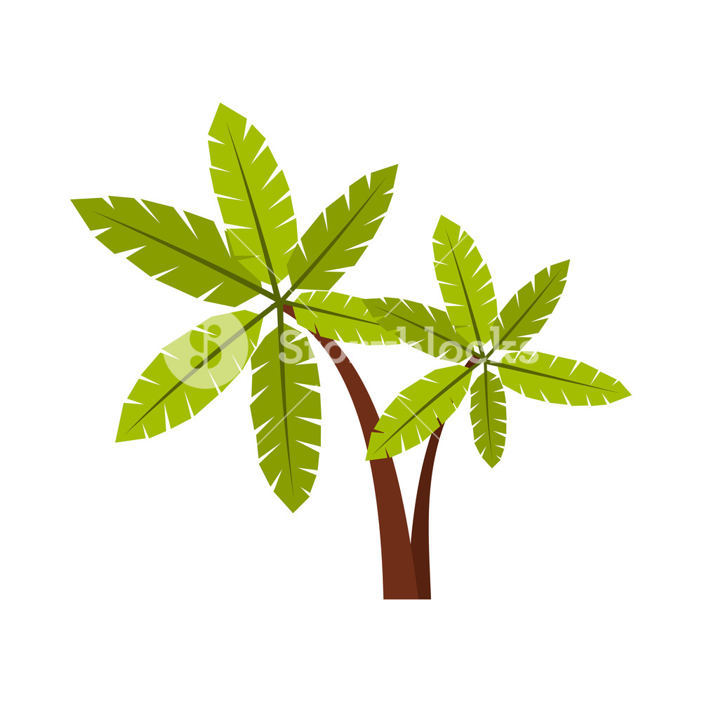 1000x1000 Palma Icon In Flat Style Isolated On White Background Flora