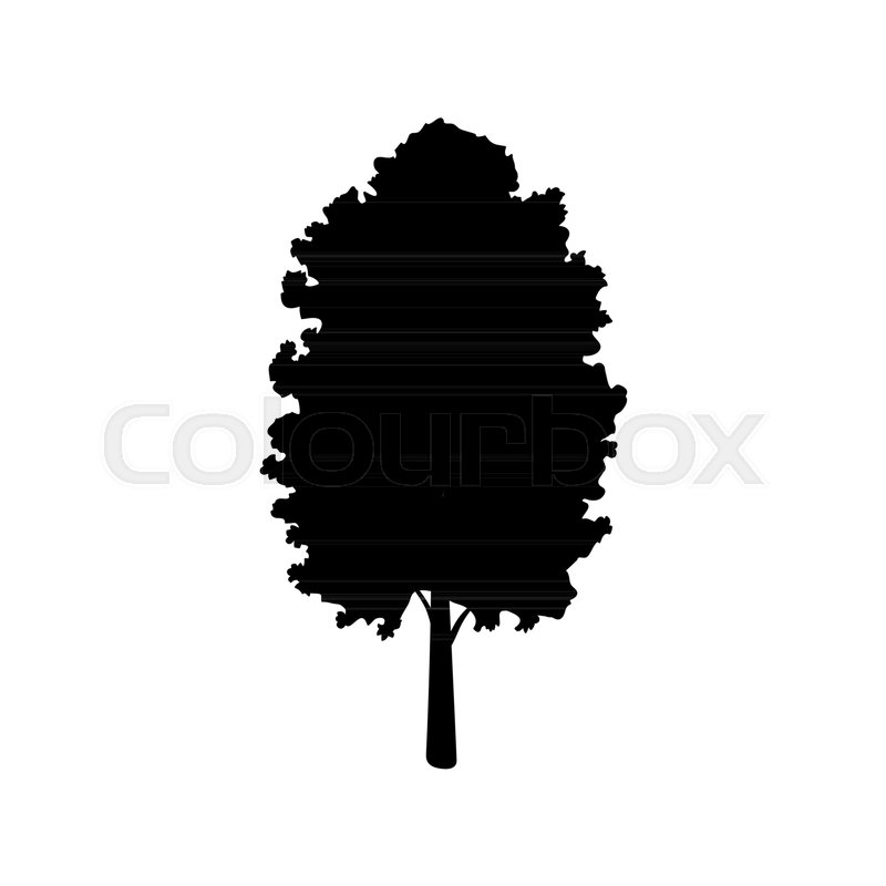 800x800 Silhouette Maple Icon Tree Flora Stock Vector Colourbox