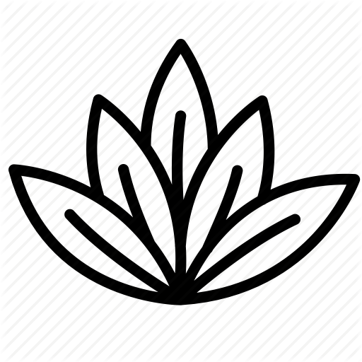 512x512 Branch, Decoration, Flora, Floral, Leaf, Nature, Plant Icon