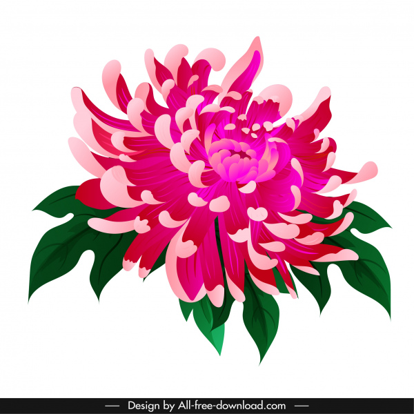 600x600 Chrysanthemum Flora Icon Classical Colored Design Free Vector